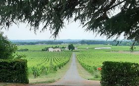 A L'OMBRE DE LA TREILLE -Proche Saint-Emilion